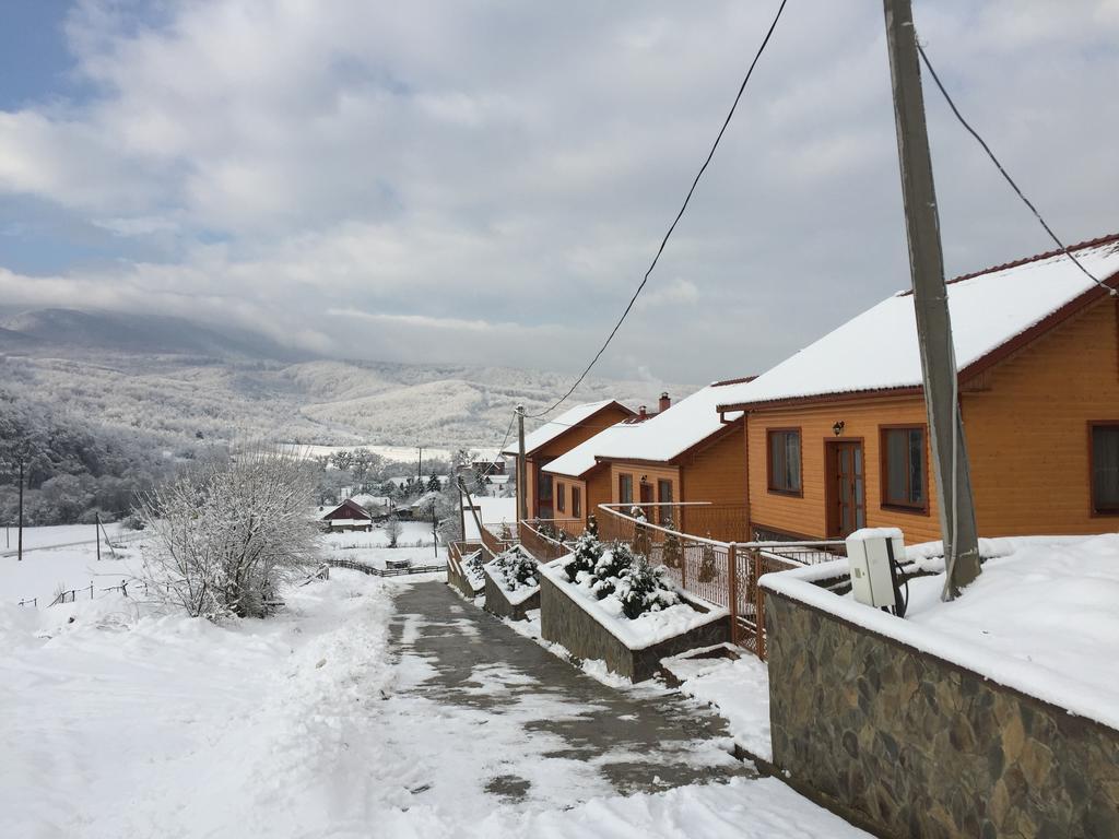 Villa Solnce Karpat à Polyana  Extérieur photo